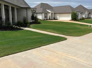 Georgina R.'s lawn care services service result