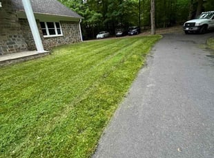 Erik H.'s turf care service result