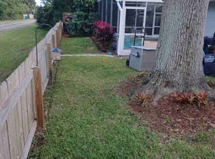 Ron S.'s turf care service result