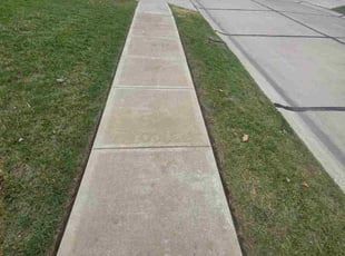 Philip P.'s lawn care services service result