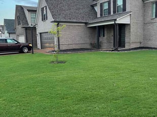 Trina C.'s turf care service result