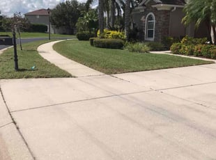 Erika R.'s lawn service service result