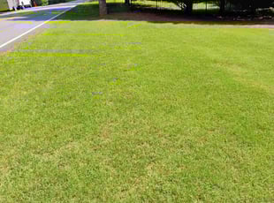 Jessica W.'s lawn maintenance service result
