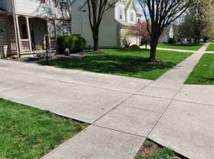 Bill S.'s lawn care services service result