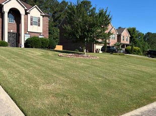Rachele K.'s lawn maintenance service result