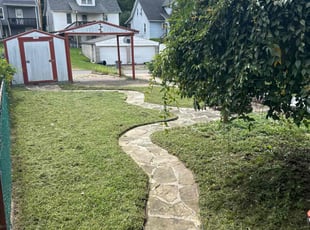 Dandi D.'s grass maintenance service result