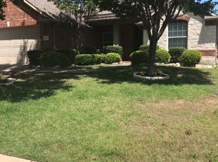 Rae D.'s Bush Trimming service result