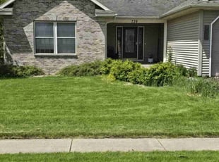 Laura B.'s lawn care service result