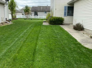 Kristin W.'s grass cutting service result