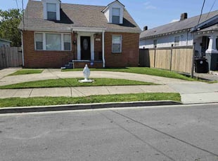 Cathy S.'s turf care service result