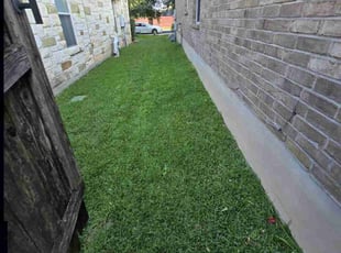 Nancy C.'s lawn care service result
