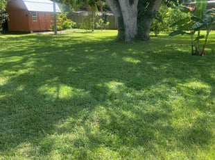 Teresa M.'s turf care service result