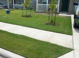 Mario G.'s grass cutting service result