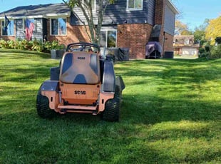 Leila C.'s lawn service service result