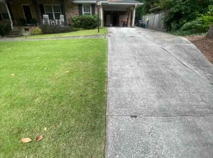 Jesse H.'s turf care service result