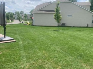 Nancy B.'s lawn care service result