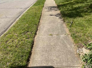melissa l.'s turf care service result