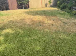 Christella P.'s lawn maintenance service result