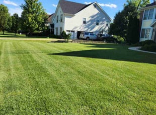Dan D.'s lawn maintenance service result