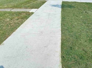 Susan S.'s lawn service service result