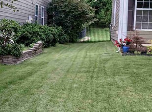 Marty T.'s turf care service result
