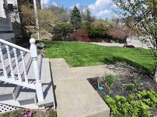 Misgana M.'s grass cutting service result