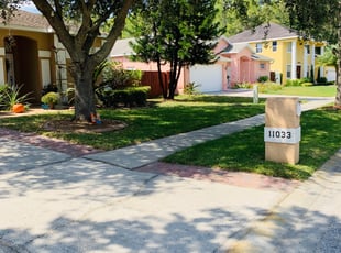 Lakisha D.'s grass cutting service result