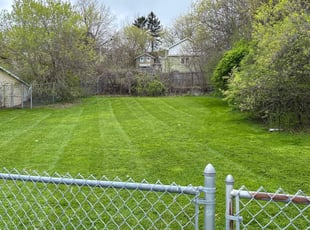 Darnella W.'s grass maintenance service result