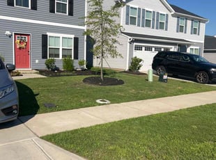 Mike G.'s turf care service result