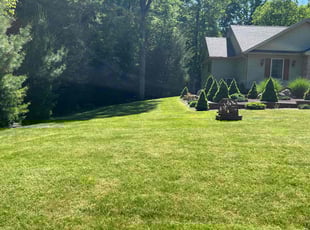 Alva V.'s lawn maintenance service result