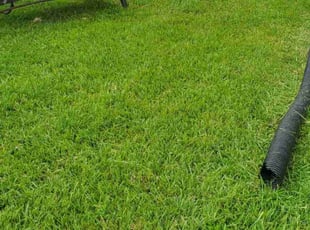 Donna R.'s lawn care services service result