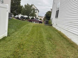 David M.'s grass cutting service result