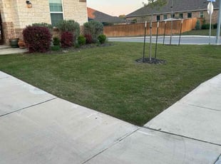 Samantha H.'s grass cutting service result