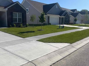 Carol W.'s turf maintenance service result