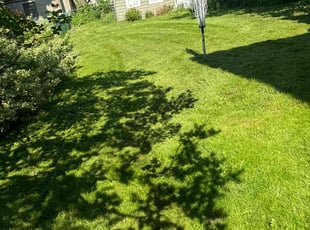 Jamie M.'s lawn care services service result