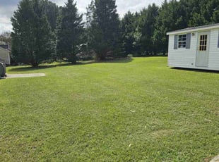 Luis R.'s grass cutting service result