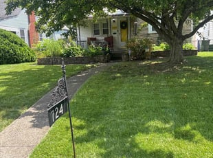 Jeff E.'s lawn care service result