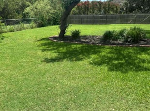 Barbara M.'s turf care service result