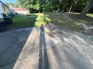 Ezequiel R.'s grass cutting service result
