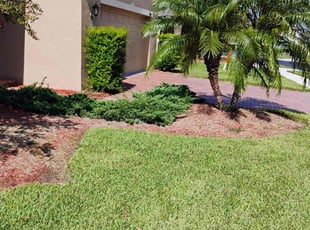 Jason R.'s lawn care service result