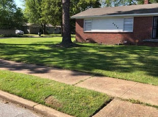 Kristy N.'s turf care service result