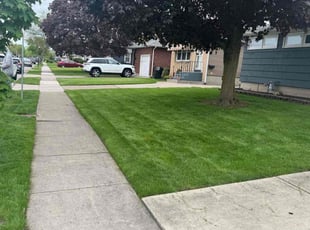 Paul B.'s lawn care service result
