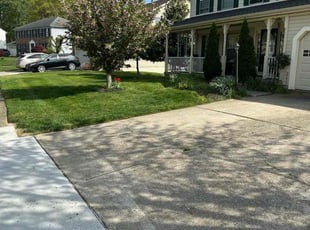 Charles A.'s turf care service result