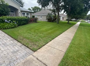 Darious S.'s Edging service result
