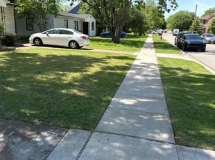 Brandon H.'s turf maintenance service result