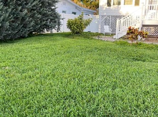Valerie B.'s lawn care services service result