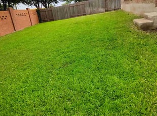 David R.'s yard maintenance service result