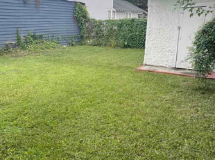 Moath A.'s turf maintenance service result