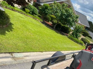 Dean Z.'s lawn maintenance service result