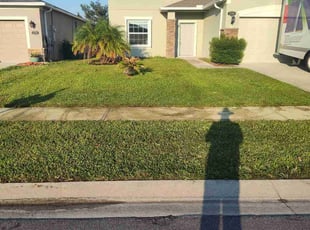 Colleen H.'s grass maintenance service result